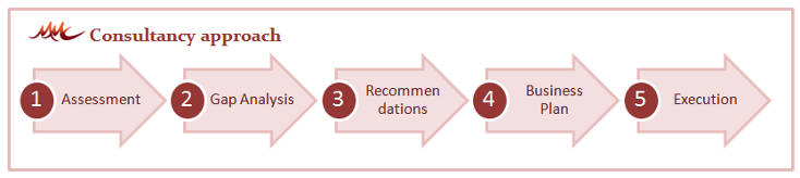 Consultancy Approach used by Muscat Modern Computers